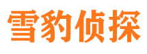 宾川商务调查